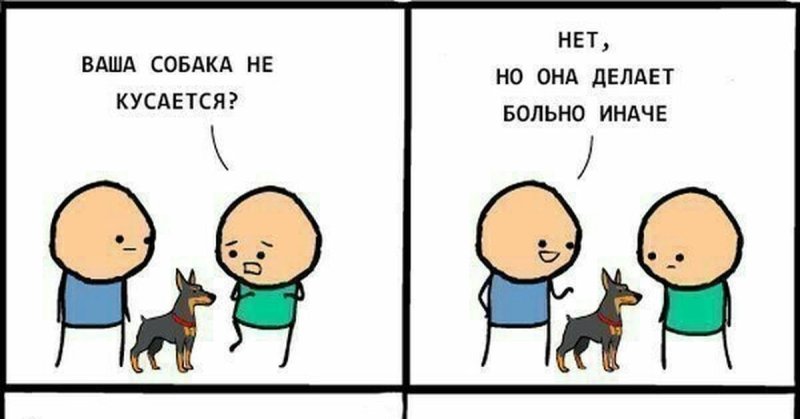 Собака делает больно иначе