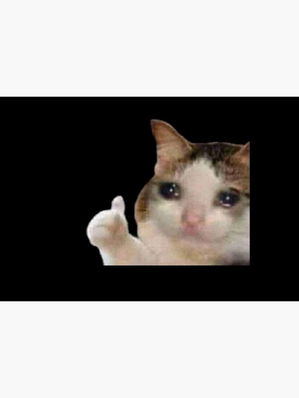 Кот плачет и показывает класс