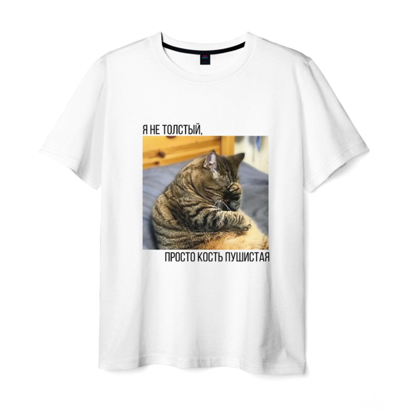 Толстый кот Виктор