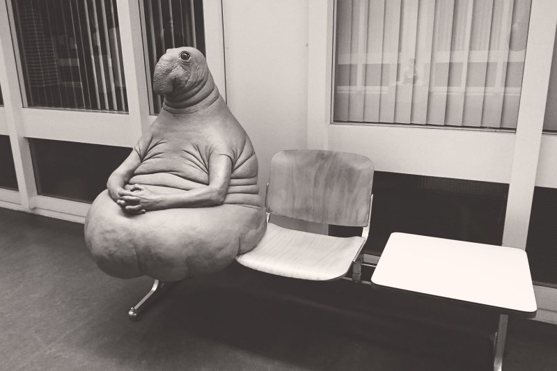 Ждун фото картинки