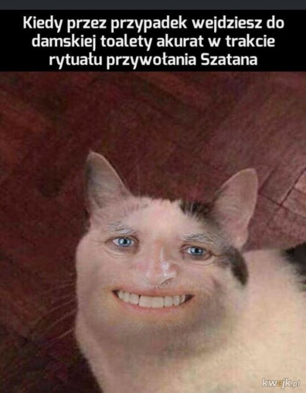 Кот с человеческой улыбкой