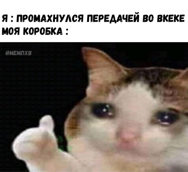 Плачущий кот с пальцем вверх