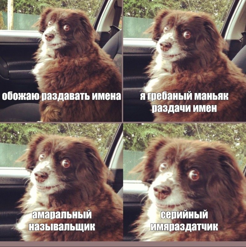 Серийный засыпальник подушкофил