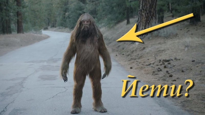 Бигфут Йети