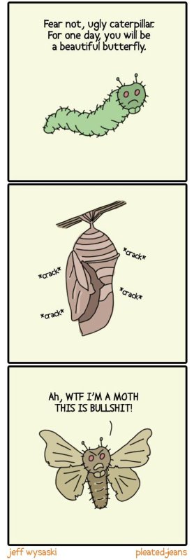 Мемы с мотыльком