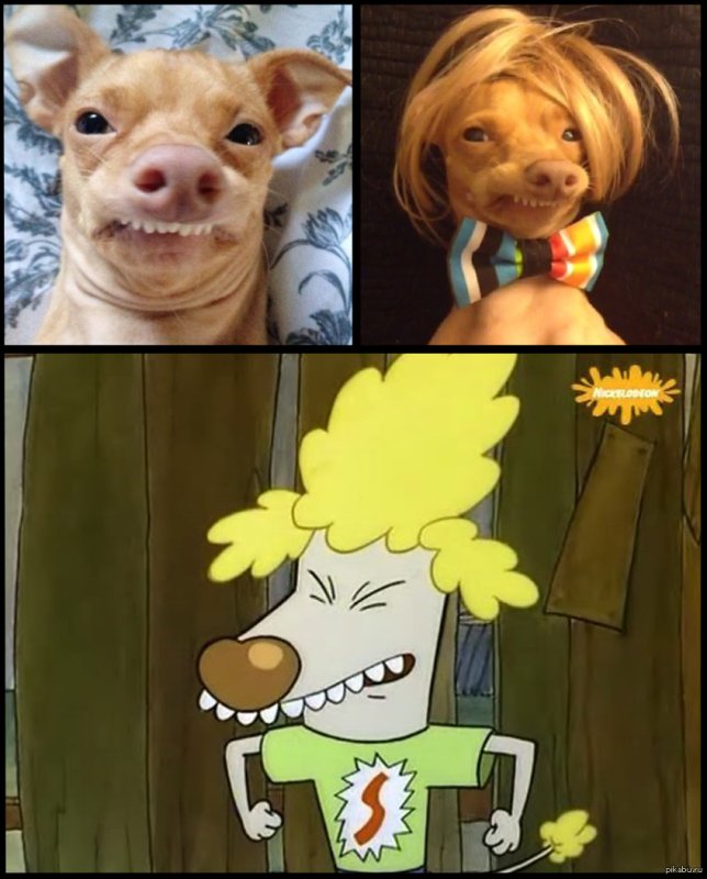 Пискля из мультика котопёс