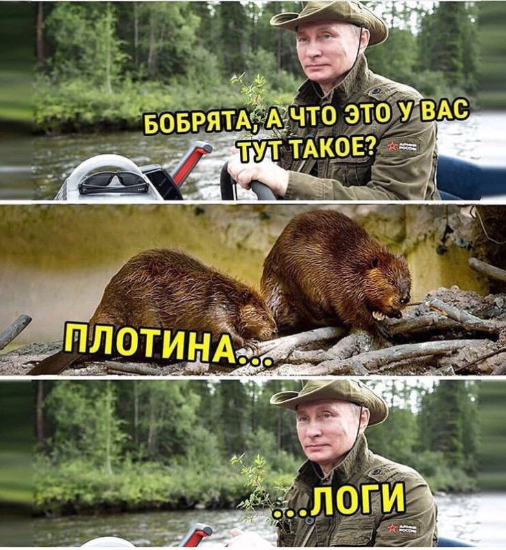 Плати налоги бобры