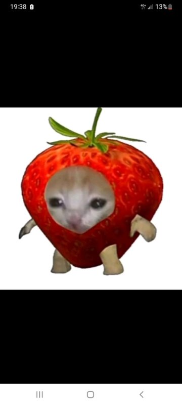 Кот в клубнике Мем