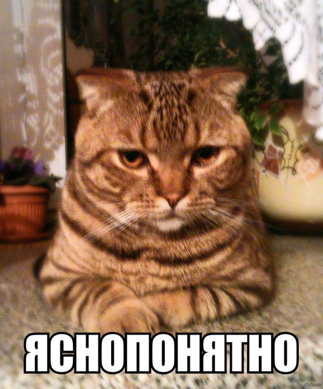 Понятно кот