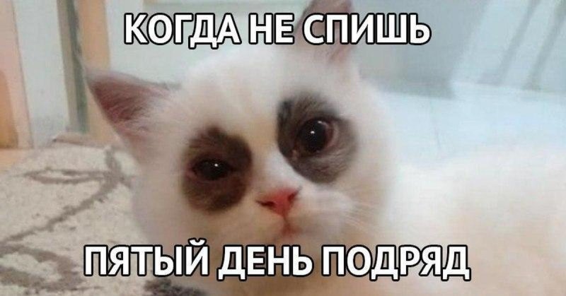 Коттс синяками под глазами
