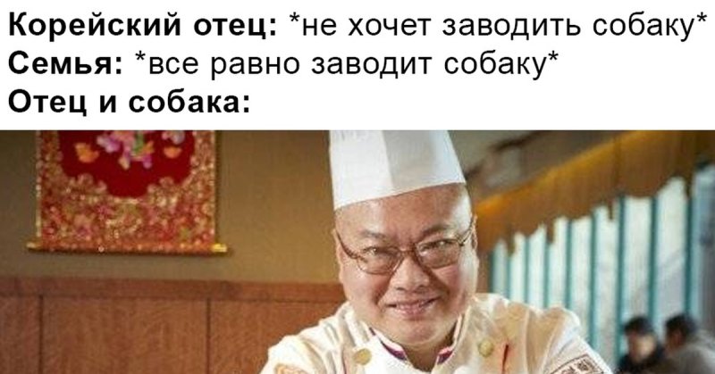 Мем про корейцев и собак