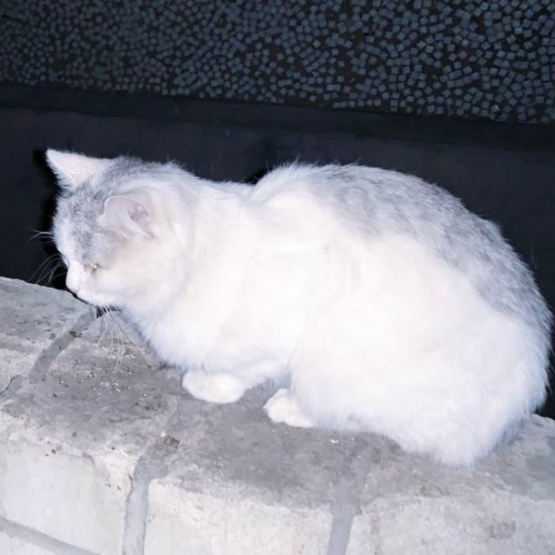 Человечек рисунок