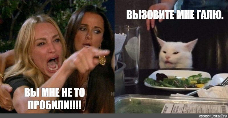 Белый кот и две женщины мемы