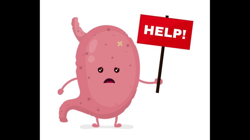 Желудок смешные картинки