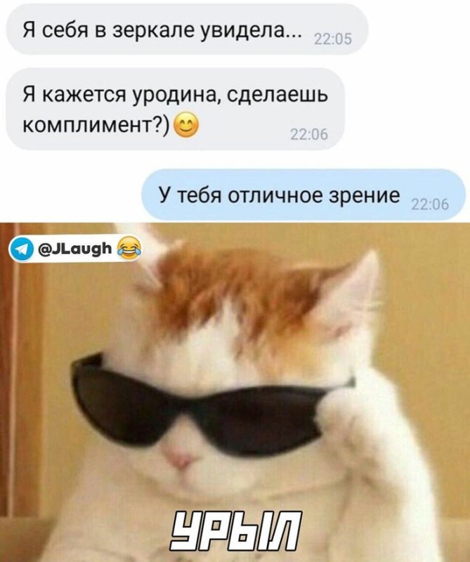 Котик с очками