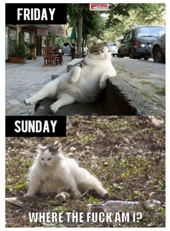Мемы в субботу после пятницы