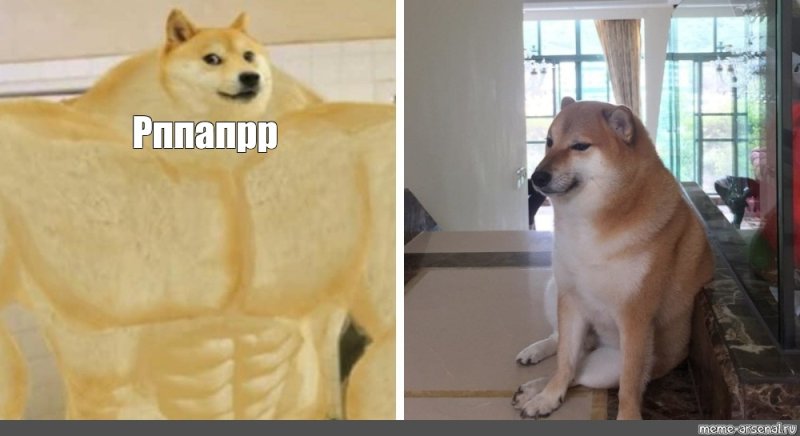 Шиба ину Doge