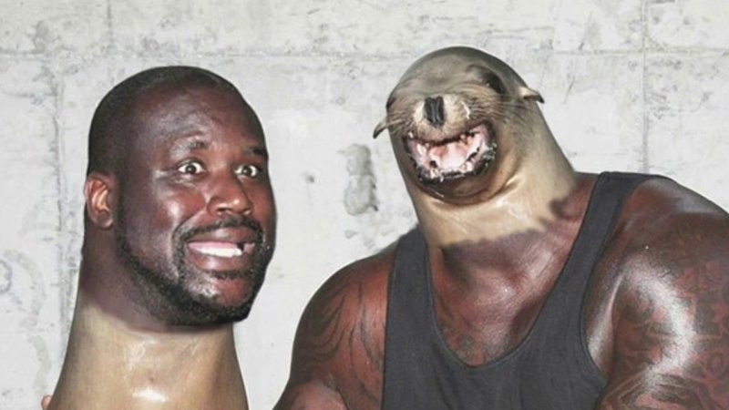 Шакил о'Нил ест курочку