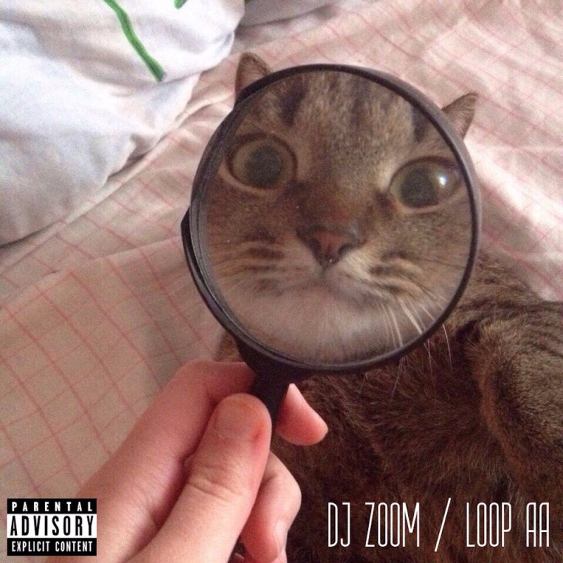 Кот через лупу