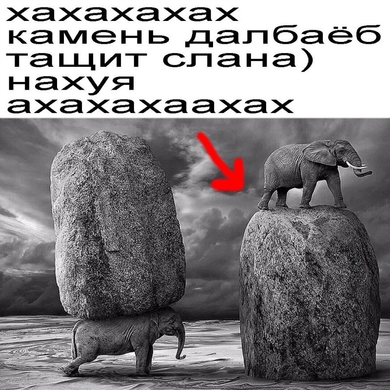 Слон тащит камень Мем