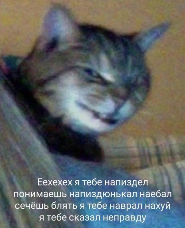 Я тебе напиздел Мем