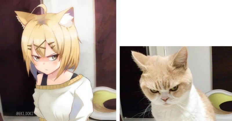 Хуманизация животных