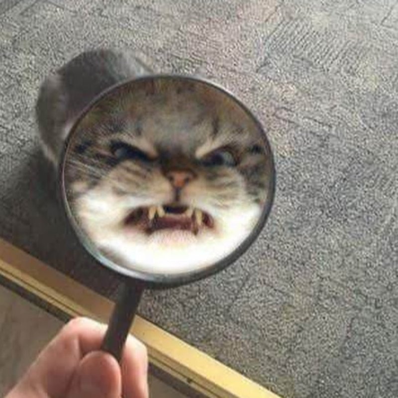 Да это же Кисулькин