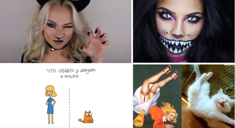 Человек превращается в кошку