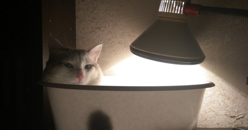 Светильник котик