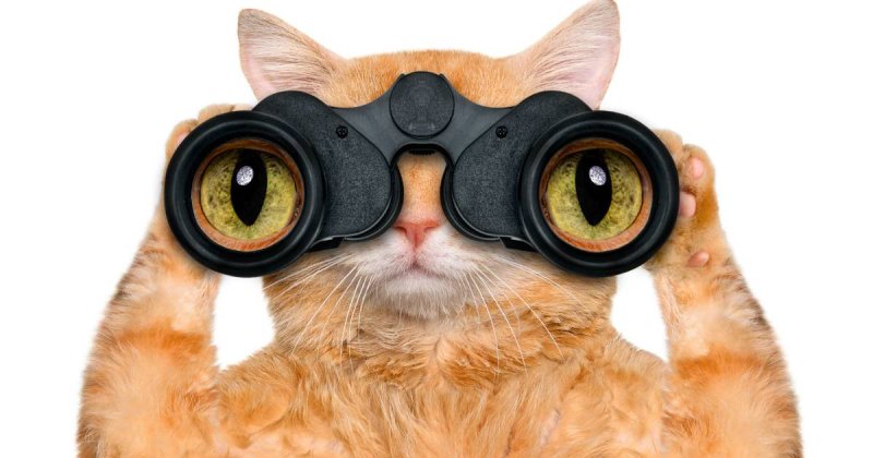 Смешной бинокль