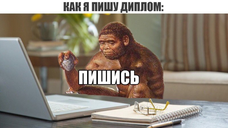 Приколы про написание диплома
