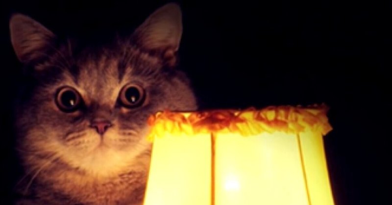Кот и светильник Мем