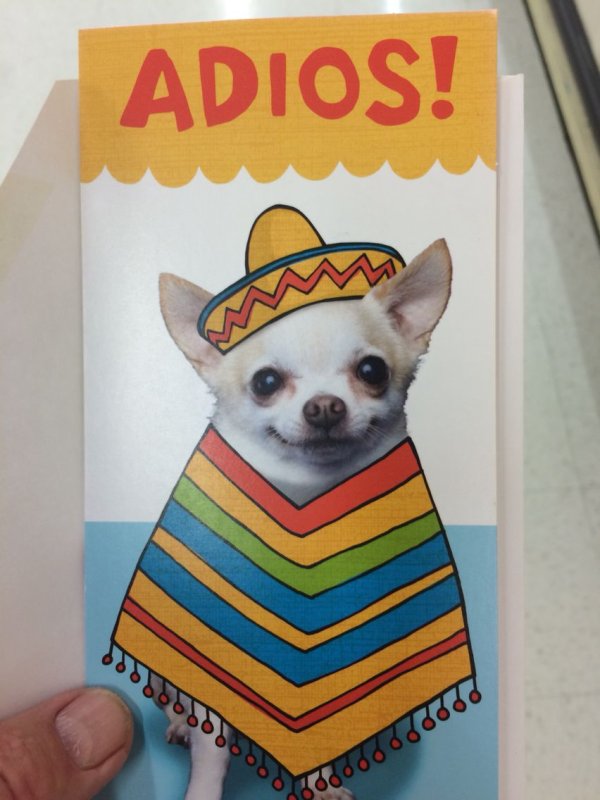 Собачка Adios