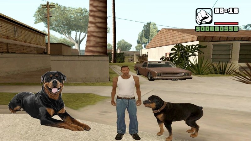 GTA 5 Франклин с собакой