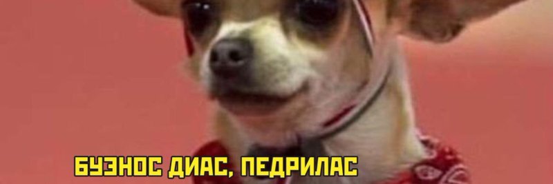 Адиос педрилас