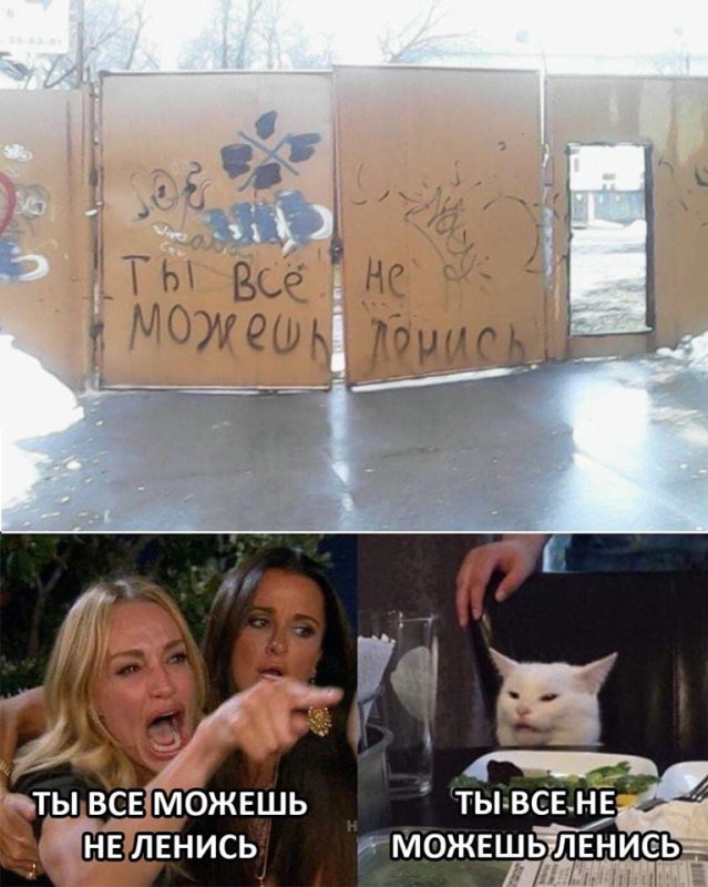 Мемы с котом и девушками