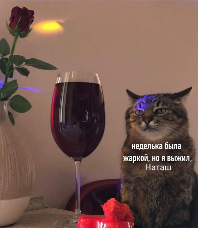 Кот с бокалом