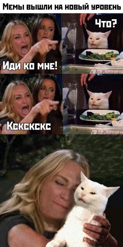 Самые популярные котики мемы