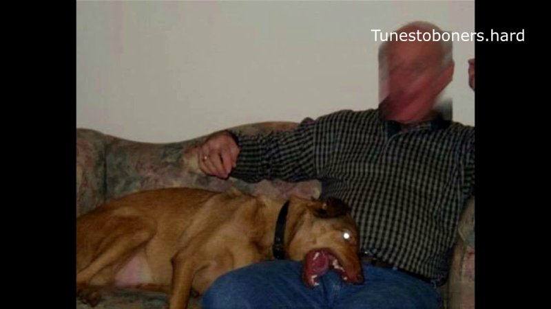 Собака откусила мужчине