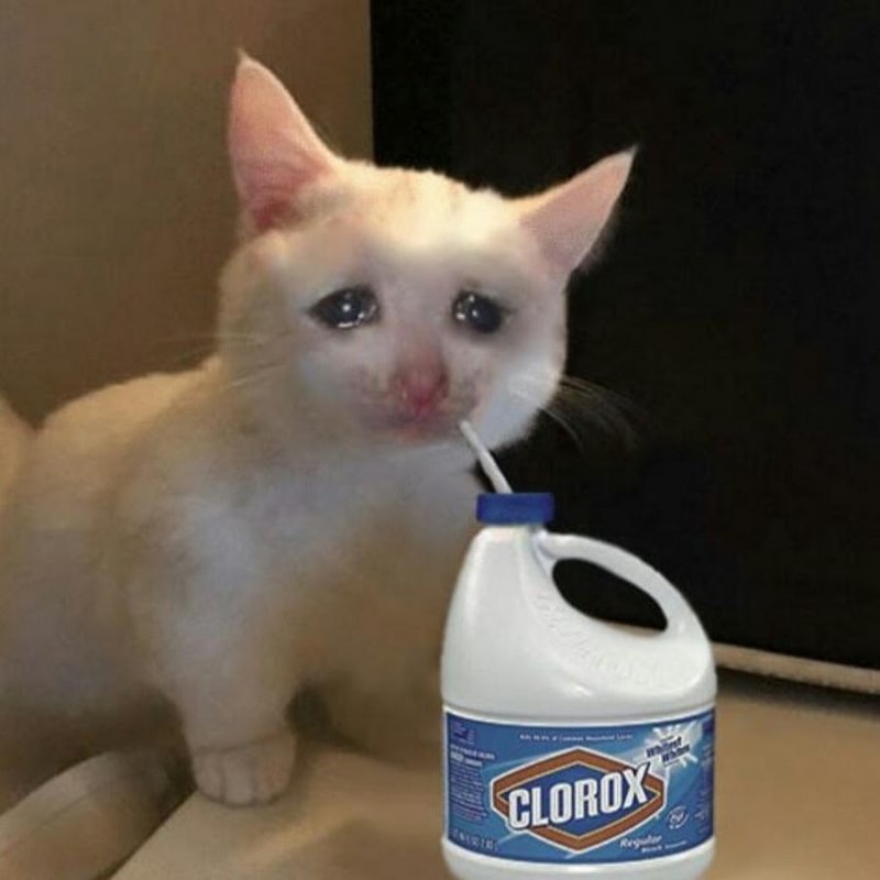 Плачущиё кот