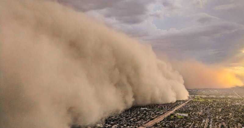Песчаная буря Мем