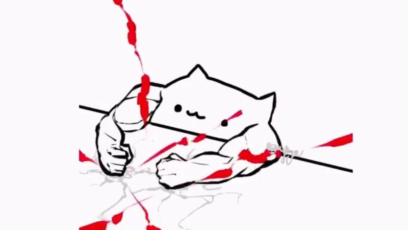 Котик бьет по столу