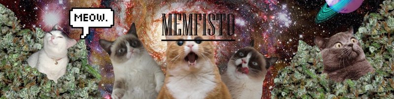 Мемы с всратыми котами