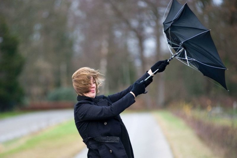 Ветер и зонт