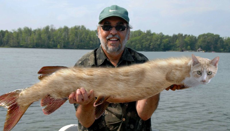 Кот с рыбой