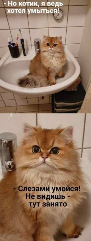 Слезами умойся Мем