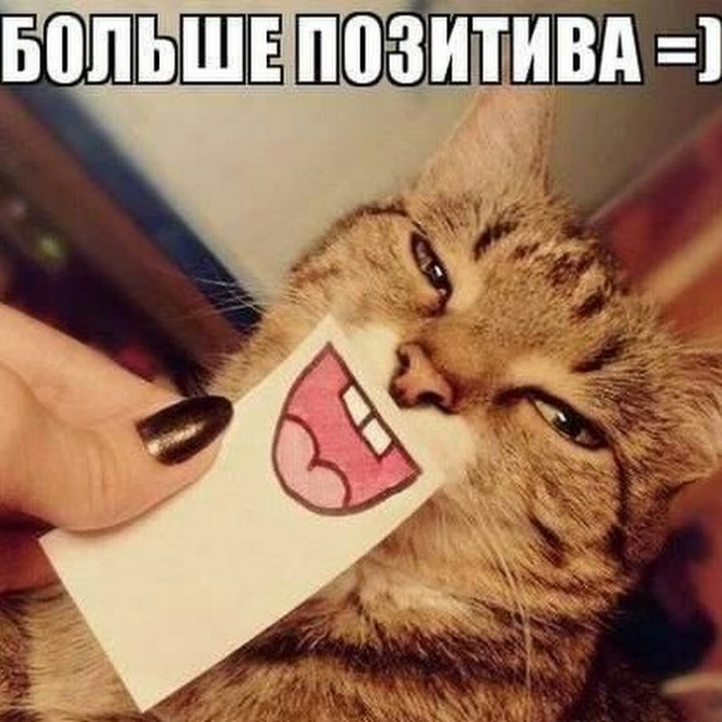 Мем для поднятия настроения