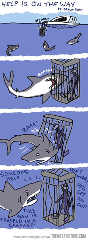 Прикольные анекдоты про акул