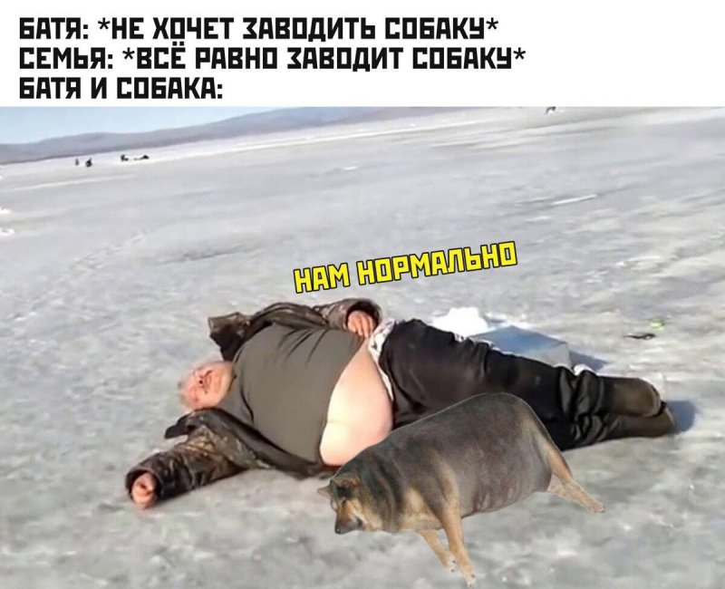 Батя и собака