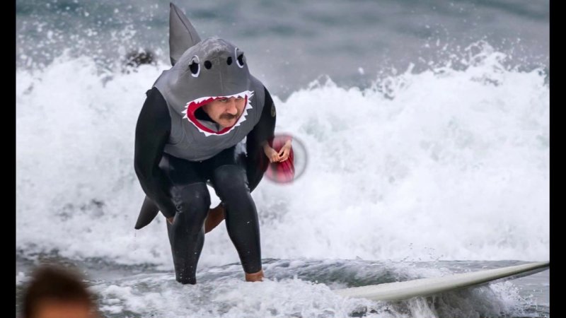 Смешная акула